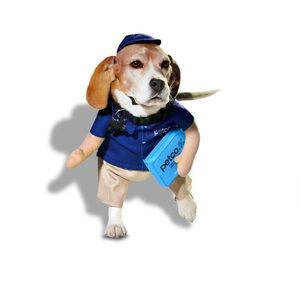 Petco dog costume size small